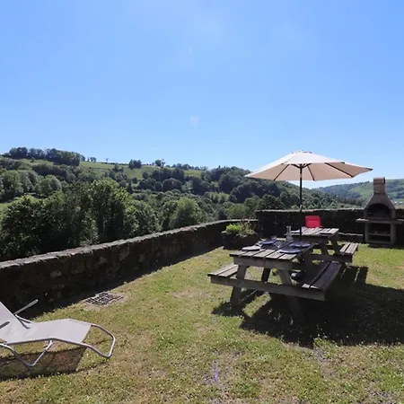 Maison De Caractere Renovee, Au Calme, Proche Salers, Avec Jardin Et Activites De Plein-air - Fr-1-742-441 Holiday home *